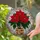 Poinsettia Stained Glass Mosaic - Tiffany Style Christmas Holiday Home Decor Stained Glass Suncatcher - 2