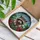duiyfppz/products/69d73c5ac7ee418a1dd09015/gallery/u_hB4Ub3Gv