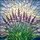 Lavender Flower Spikes Stained Glass Art - Tiffany Style Mosaic Floral Home Decor Gift Stained Glass Suncatcher - 5