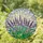 Lavender Flower Spikes Stained Glass Art - Tiffany Style Mosaic Floral Home Decor Gift Stained Glass Suncatcher - 1