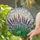 Lavender Flower Spikes Stained Glass Art - Tiffany Style Mosaic Floral Home Decor Gift Stained Glass Suncatcher - 2