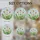 Dandelion Puffballs Stained Glass - Tiffany Style Green Leaves Blue Sky Window Decor Stained Glass Suncatcher - 4