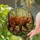 Brown Bear Stained Glass Woodland Tiffany Mosaic Art - Detailed Wildlife Nature Scene Stained Glass Suncatcher - 2