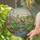 Tiffany Stained Glass Birds Lotus Flowers - Pond & Aquatic Nature Scene Decor Gift Stained Glass Suncatcher - 2