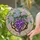 Tiffany Style Stained Glass Art - Purple Wisteria Hydrangea Floral Sunburst Jewel Tone Stained Glass Suncatcher - 2