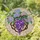 Tiffany Style Stained Glass Art - Purple Wisteria Hydrangea Floral Sunburst Jewel Tone Stained Glass Suncatcher - 1
