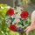 Ruby-throated Hummingbirds Red Hibiscus Stained Glass Panel - Tiffany Mosaic Jewel Tones Stained Glass Suncatcher - 2