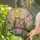 Long-Eared Owls Pink Lotus Flowers Mosaic Sky - Tiffany Style Nature Lover Decor Gift Stained Glass Suncatcher - 2