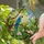 Vibrant Blue Gold Macaw Parrot Tropical Flowers - Tiffany Style Stained Glass Jungle Art Stained Glass Suncatcher - 2