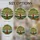 Tiffany Style Stained Glass Tree Roots Canopy Hills Sky - Jewel Tone Nature Art Stained Glass Suncatcher - 4