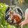Red Fox Crows Tiffany Glass Artwork Mosaic - Textured Luminous Nature Decor Gift Stained Glass Suncatcher - 1