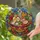 Vibrant Ramen Noodles Chashu Egg Stained Glass - Tiffany Style Chili Floral Mosaic Design Stained Glass Suncatcher - 2