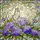 Tiffany Glass Butterfly & Lilac Hydrangea Flowers - Translucent Botanical Mosaic Art Stained Glass Suncatcher - 5