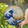 Hokusai Great Wave Mount Fuji Japanese Fishing Boats Sunrise Tiffany Art Decor Stained Glass Suncatcher - 2