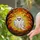 Stained Glass Ghost Autumn Sunset Gnarled Branches Tiffany Art Fall Halloween Decor Stained Glass Suncatcher - 2
