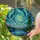 Majestic Swirling Aurora Borealis Mountain Lake - Stained Glass Pine Tree Tiffany Art Stained Glass Suncatcher - 2