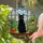 Black Cat Stained Glass Window Scene - Bookshelf Houseplant Home Decor Gift for Cat Lovers Stained Glass Suncatcher - 2