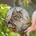 Tabby Cat Wildflower Wheat Tiffany Style Stained Glass Window Art Home Decor Gift Stained Glass Suncatcher - 2