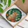 Orange White Tabby Cat Stained Glass - Daisy Marigold Jewel Tone Garden Gift for Cat Lover Stained Glass Suncatcher - 3