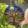 Gnarled Joshua Tree Desert Night Sky Full Moon Stars - Mountain Landscape Window Decor Stained Glass Suncatcher - 2