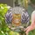 Orange Tabby Cat Bella Banner Lavender Daisy Butterfly Tiffany Glass Style Stained Glass Suncatcher - 2