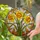 Stained Glass Daffodil Bouquet Mosaic - Colorful Spring Garden Home Decoration Gift for Her Stained Glass Suncatcher - 2