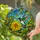 Colorful Hummingbird Stained Glass Tiffany Style - Ruby Throat Flower Garden Mosaic Art Stained Glass Suncatcher - 2
