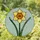 Vibrant Daffodil Stained Glass Flower - Deep Orange Yellow Intricate Tiffany Mosaic Art Stained Glass Suncatcher - 1