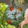 Intricate Hummingbird Stained Glass Tiffany Design - Flowering Vines Sky Cloud Mosaic Art Stained Glass Suncatcher - 2