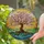 Cherry Blossom Tree of Life Stained Glass Art Tiffany Style - Radiant Sky Earth Water Stained Glass Suncatcher - 2