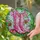 Ornate Pink Cowboy Boots Easter Eggs Spring Roses - Tiffany Style Spring Garden Art Stained Glass Suncatcher - 2