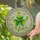 Four-Leaf Clover Stained Glass Tiffany Style Mosaic - Emerald Green Leaves Scrollwork Decor Stained Glass Suncatcher - 2