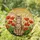 Contented Tabby Cat Red Orange Poppy Flowers Radiant Sun Tiffany Stained Glass Art Decor for Home Stained Glass Suncatcher - 1