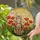 Contented Tabby Cat Red Orange Poppy Flowers Radiant Sun Tiffany Stained Glass Art Decor for Home Stained Glass Suncatcher - 2