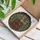 Wooden Bookshelf Antique Books, Vase, Vibrant Flowers, Green Foliage, Tiffany Stained Glass Mosaic Stained Glass Suncatcher - 3