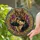 Majestic German Shepherd Stained Glass Art - Tiffany Inspired Ornamental Mosaic Patterns Stained Glass Suncatcher - 2