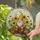 Jovial Garden Gnome Sunflowers Bees Tiffany Stained Glass - Woodland Meadow Decor Stained Glass Suncatcher - 2