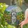 Happy Husky Dog Detailed Stained Glass Sunflowers Wildflowers Rolling Hills Art Stained Glass Suncatcher - 2