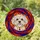 Fluffy Maltese Dog Head Stained Glass Art, Tiffany Style Jewel Tones Abstract Patterns Stained Glass Suncatcher - 1