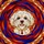Fluffy Maltese Dog Head Stained Glass Art, Tiffany Style Jewel Tones Abstract Patterns Stained Glass Suncatcher - 5