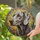 Weimaraner Dog Head Stained Glass Art - Tiffany Style Mosaic Home Decor Gift for Dog Lovers Stained Glass Suncatcher - 2