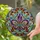 Fleur-de-lis Stained Glass - Tiffany Style Ornate Mosaic Tapestry Motifs Home Decor Stained Glass Suncatcher - 2