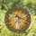 Jesus Christ Playing Violin Doves Tiffany Stained Glass Religious Sunburst Floral Stained Glass Suncatcher - 1
