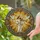 Jesus Christ Playing Violin Doves Tiffany Stained Glass Religious Sunburst Floral Stained Glass Suncatcher - 2