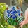 Blue Irises Butterflies Tiffany Glass Mosaic - Floral Stained Glass Window Decor Stained Glass Suncatcher - 2