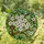 White Apple Blossom Stained Glass Art – Tiffany Jewel Tone Foliage Mosaic Decor Stained Glass Suncatcher - 1