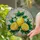 Tiffany Style Stained Glass Lemon Slices Leaves Blossoms - Intricate Mosaic Fruit Design Stained Glass Suncatcher - 2