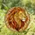 Majestic Lion Head Stained Glass Art - Intricate Flowing Mane Textured Jewel Tones Stained Glass Suncatcher - 1