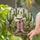 Cowboy Hat Pink Boots Cacti Desert Flowers Stained Glass Mosaic - Western Style Art Stained Glass Suncatcher - 2