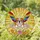 English Bulldog Rainbow Wings Stained Glass Sunbeams - Tiffany Jewel Tone Artwork Stained Glass Suncatcher - 1